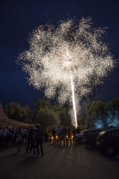 Feuerwerk leuchtet über einer Feier im Freien, umgeben von Bäumen und Gästen.